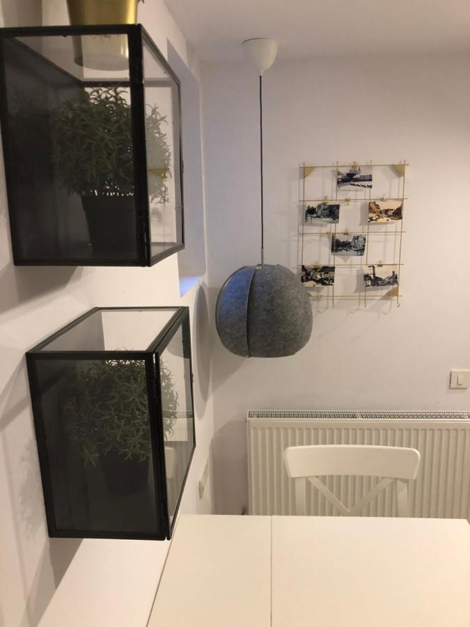 Bb'S Cosy Apartments ブラショフ エクステリア 写真